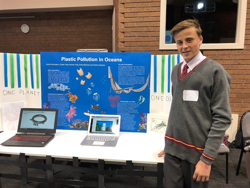 Extension Studies Pic 1